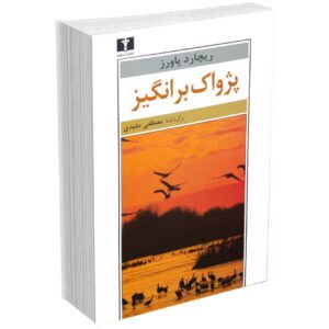 پژواک برانگیز