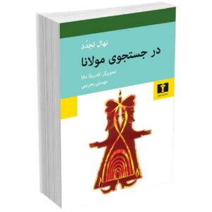 در جستجوی مولانا