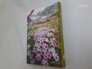 نگاهی به گل های وحشی کوه های ایران