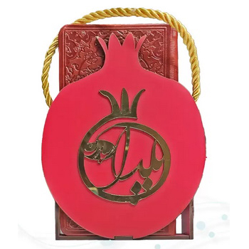 حافظ پالتویی چرم با ساک طرح انار
